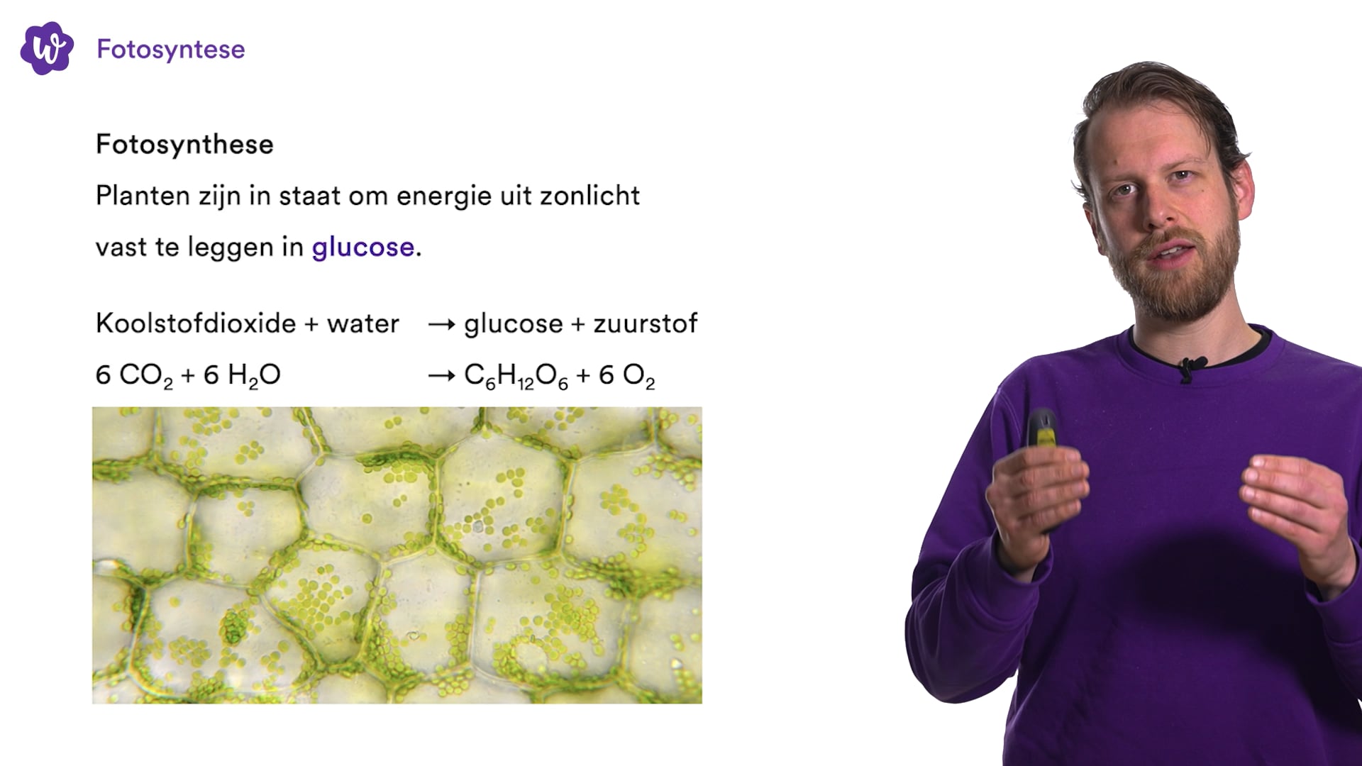 Oefen Met Stofwisseling In De Cel Uit Biologie Voor Jou / Bvj – 5 Havo ...