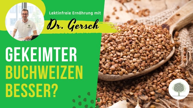 Ist gekeimter Buchweizen eine lektinfreie Option?