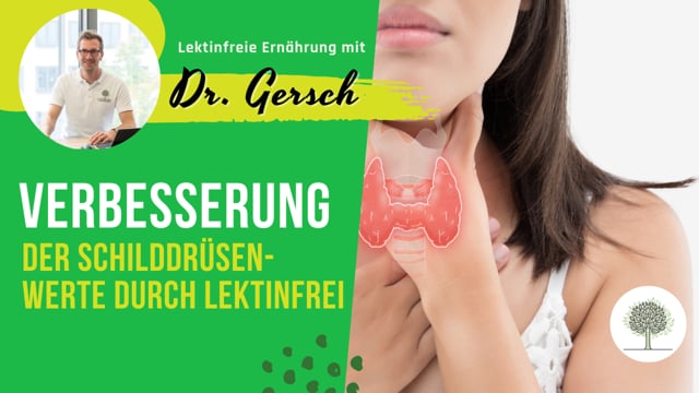 Ich habe Hashimoto. Ab wann sind durch die lektinfreie Ernährung eine Besserung der Schilddrüsenwerte zu erwarten?