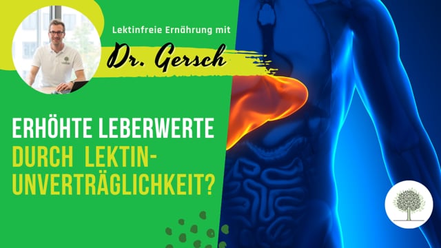 Können erhöhte Leberwerte von einer Lektinunverträglichkeit kommen? Ist dann eine Leberentgiftung sinnvoll?