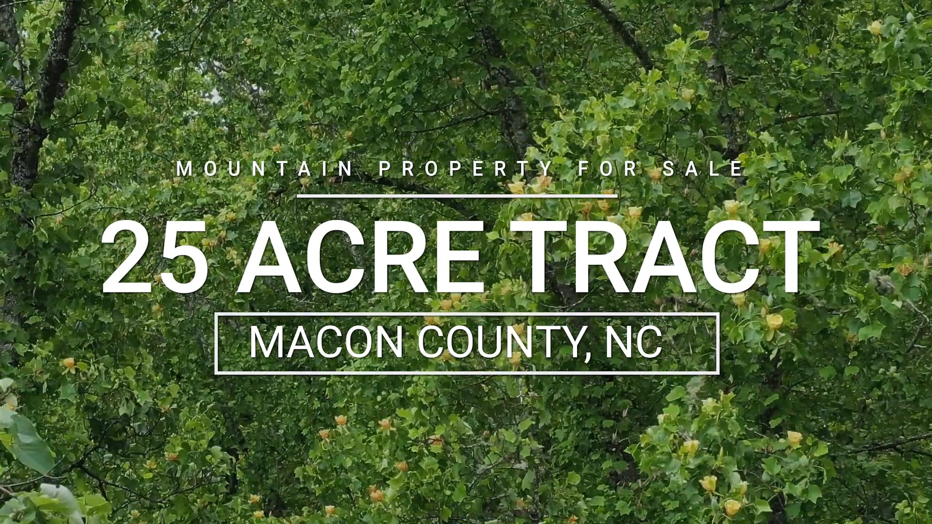 25 Acre Tract of Land For Sale in Macon County, NC on Vimeo