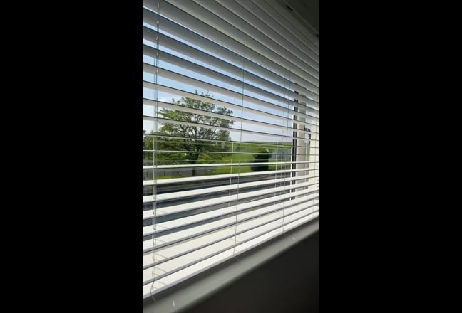 Video 1: