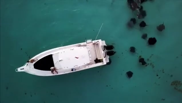 https://i.vimeocdn.com/video/1674013039-996e1d2422813742a8abb97c2673f61bd965098774a0dd28c68acdb049bb7fdd-d