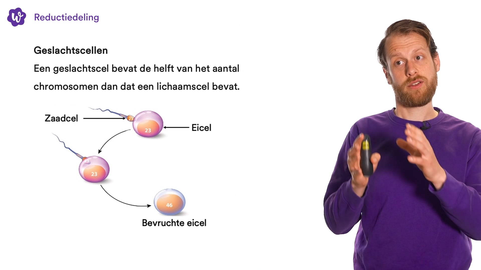 Oefen Met Organen En Cellen Uit Biologie Voor Jou / Bvj – 3 Vmbo-t – 8 ...