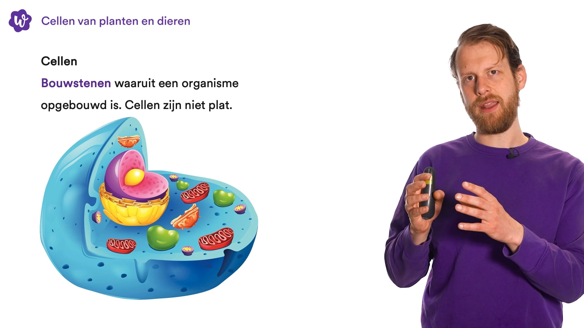 Oefen Met Organen En Cellen Uit Biologie Voor Jou / Bvj – 3 Vmbo-t – 8 ...