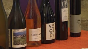 Els vins elaborats amb garnatxa regnen als premis de la fira Arrels del Vi