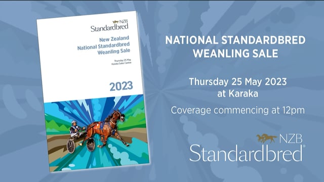 NZB Standardbred 2023 Weanling Sale - Start of Day - Lot 1