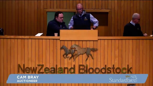 NZB Standardbred 2023 Weanling Sale - Lots 1 - 7