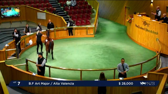 NZB Standardbred 2023 Weanling Sale - Lots 7 - 15