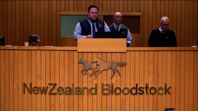 NZB Standardbred 2023 Weanling Sale - Lots 48 - 56