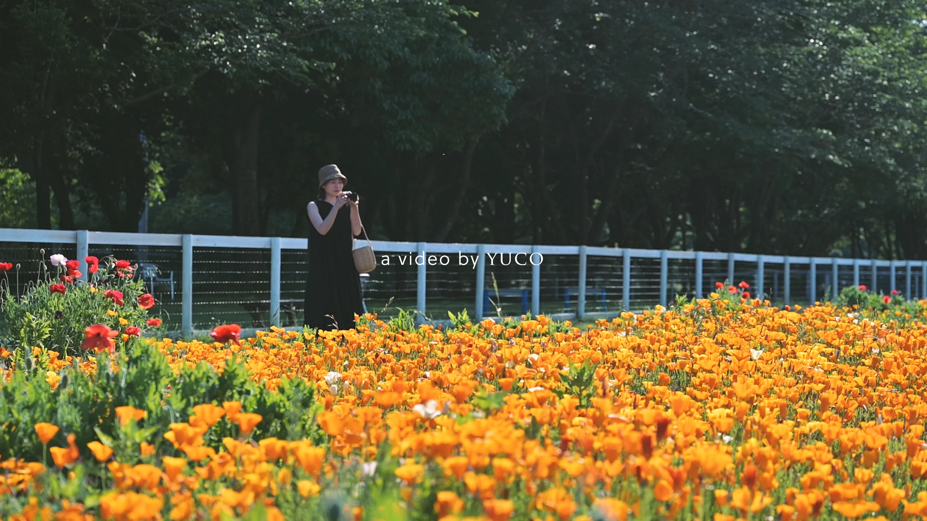 最強Vlogレンズ「NIKKOR Z DX 12-28mm f/3.5-5.6 PZ VR」が登場！超