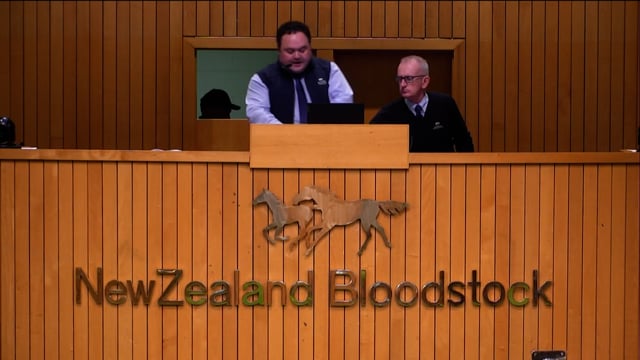 NZB Standardbred 2023 Weanling Sale - Lots 83 - 91