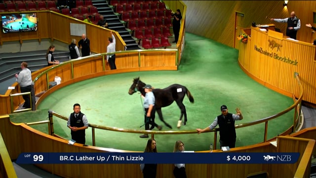 NZB Standardbred 2023 Weanling Sale - Lots 99 - 107