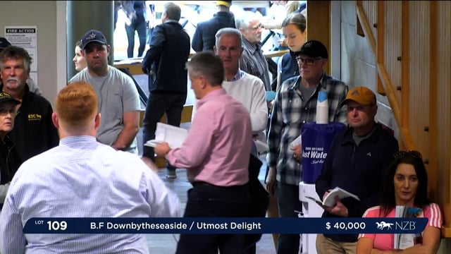 NZB Standardbred 2023 Weanling Sale - Lots 107 - 117