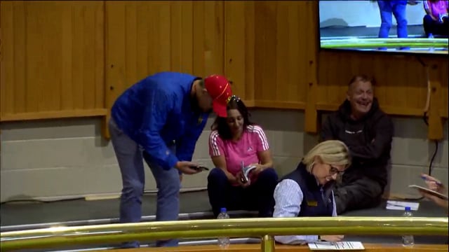 NZB Standardbred 2023 Weanling Sale - Lots 122 - End of Day