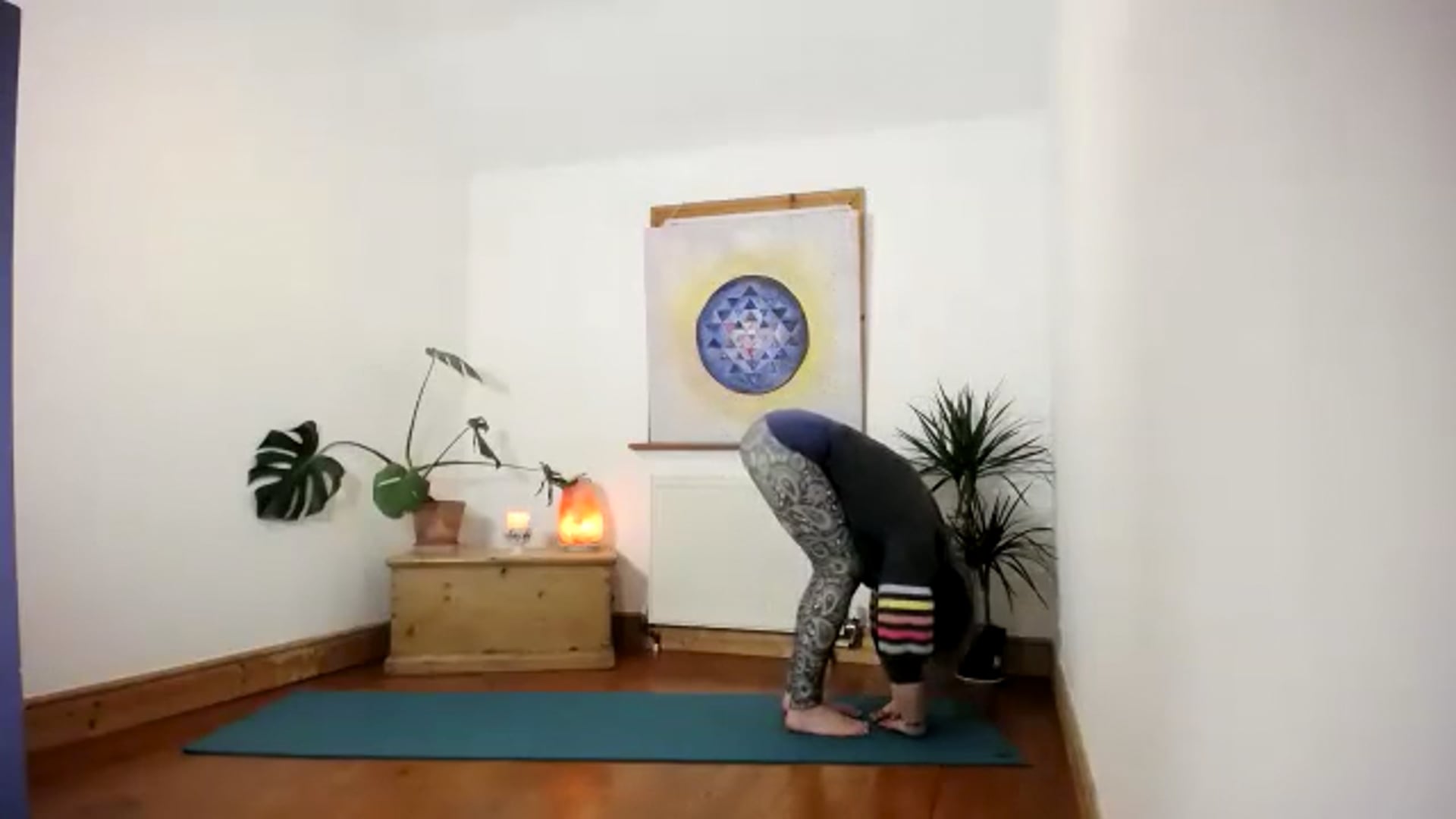 Multilevel wk6 Hips shoulders and back