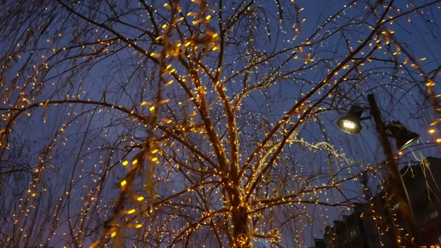 Rideau extérieur Tombées effet neige Blanc chaud L 2 M - Guirlandes  lumineuses pour extérieur - Décomania