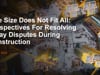 Perspectives for Resolving Delay Disputes During Construction