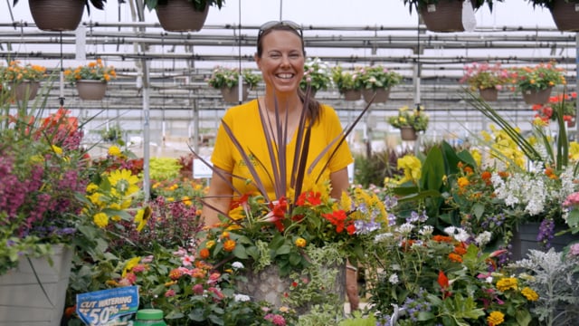 How to Create a Container Garden with Heat-Loving, Drought-Tolerant Annuals