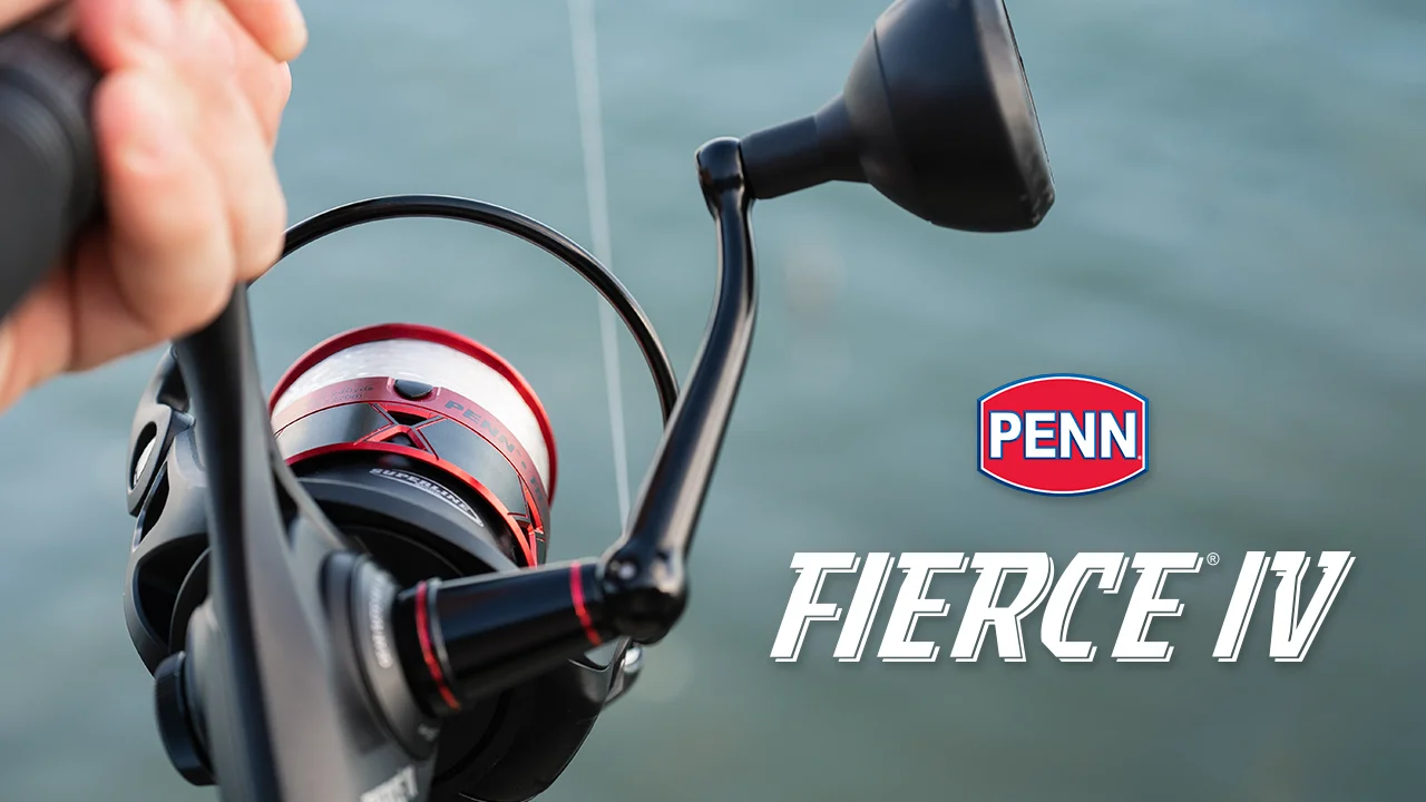 PENN® Fierce® IV Spinning - PENN® New Zealand PENN® Fierce® IV Spinning - PENN® New Zealand