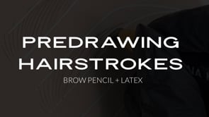 Hairstrokes  Brow Pencil + Latex