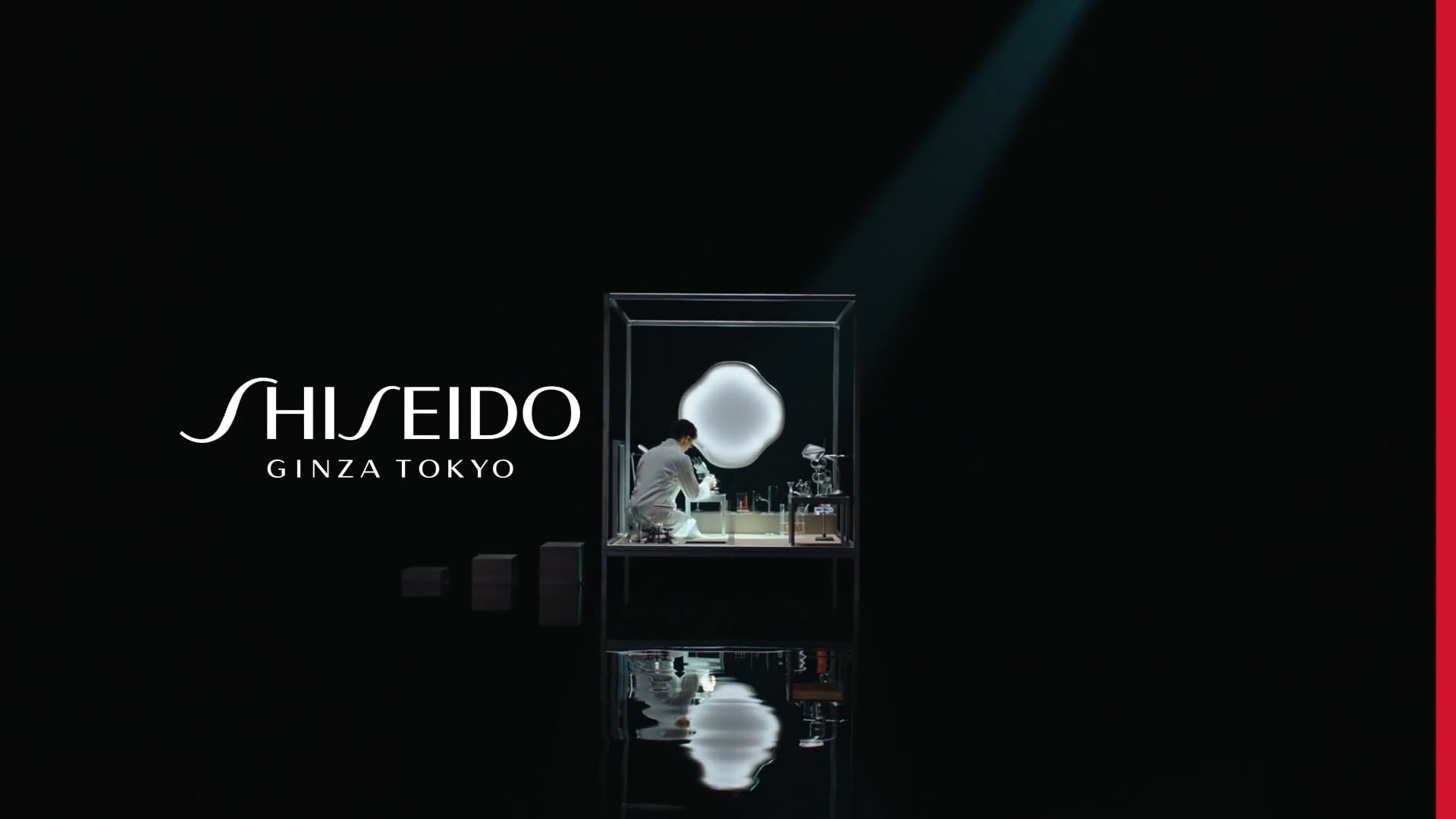 SHISEIDO REVOLUTIONIZE YOUR BEAUTY