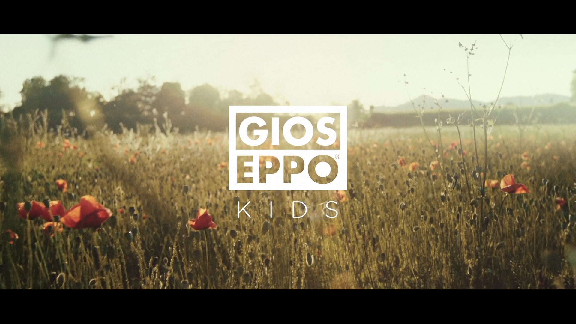 GIOSEPPO | Wings