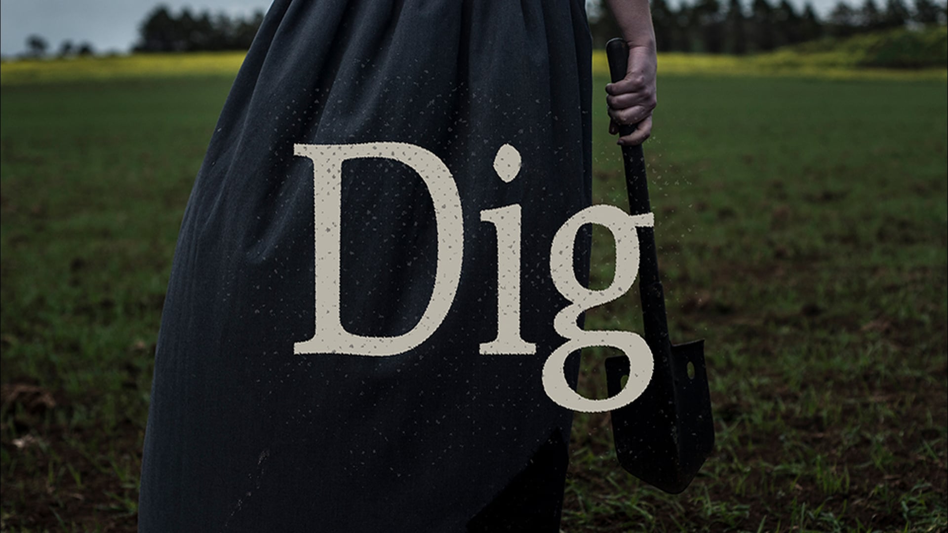 Dig (2016)