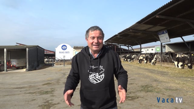 Diversificación en estado puro