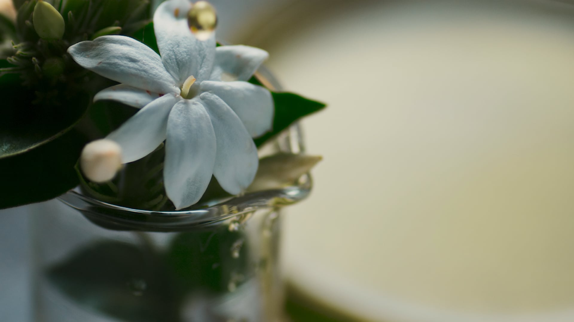 o_boticário_-_elysée_blanc (Original)