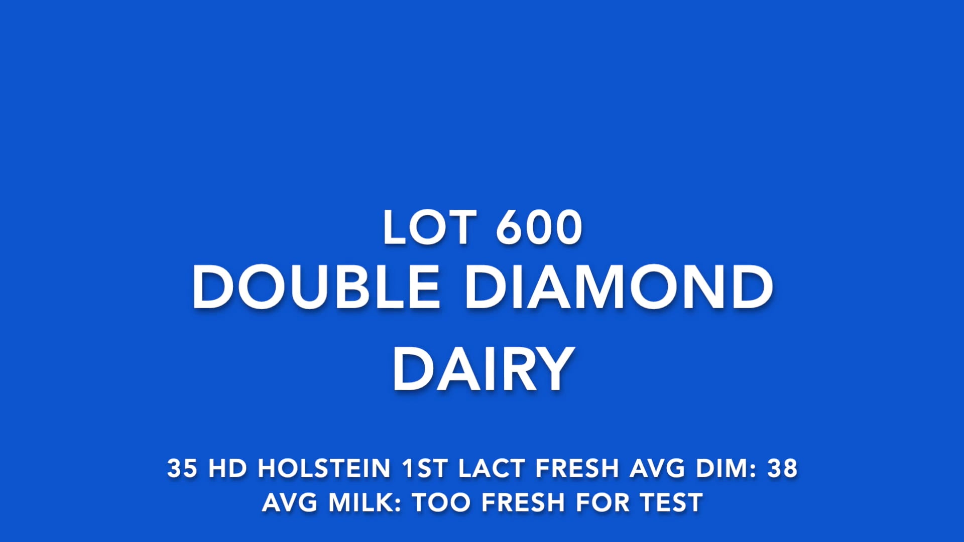 LOT 600 DOUBLE DIAMOND DAIRY on Vimeo
