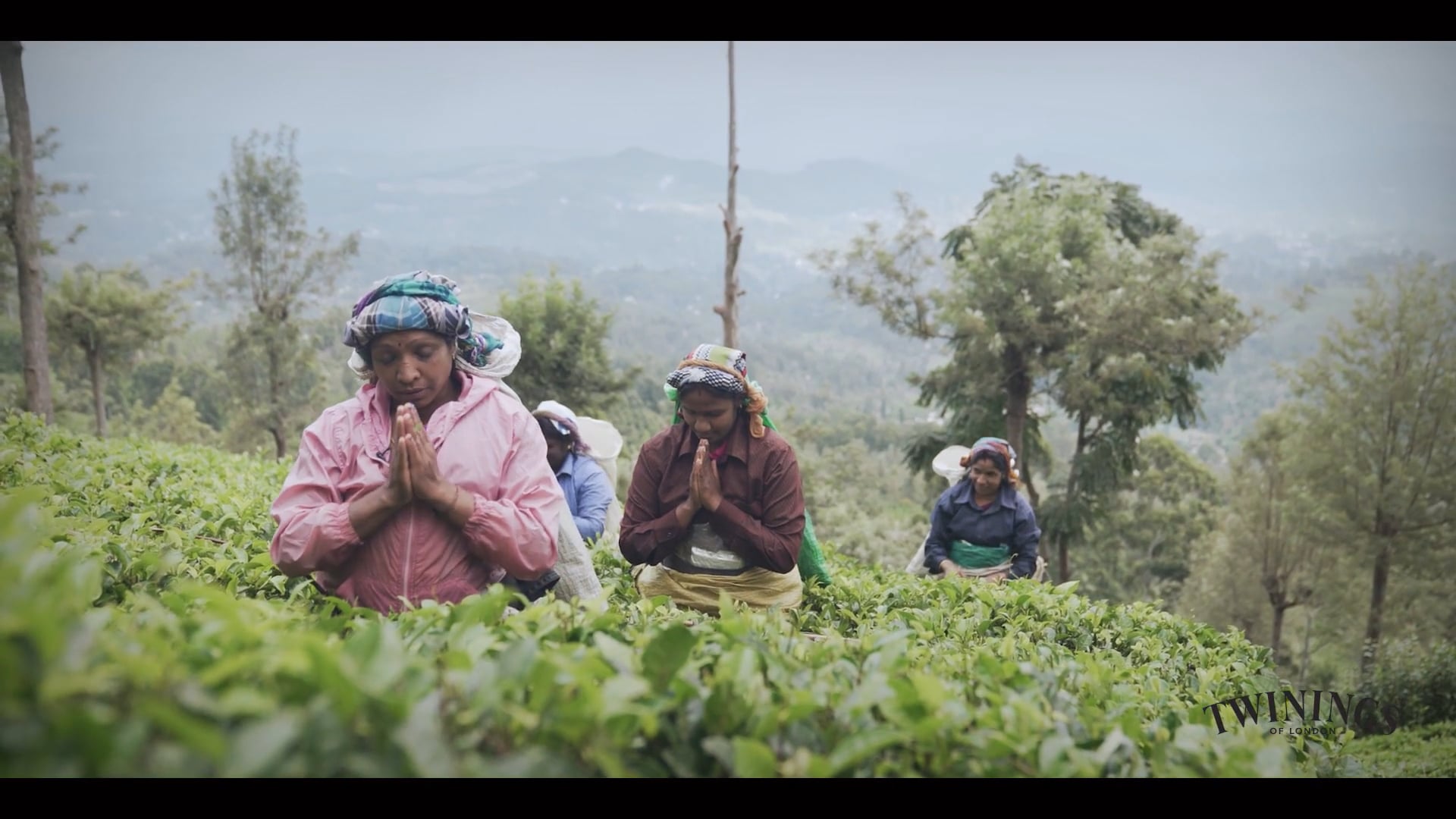 Women Lead Change in Sri Lanka's Tea Gardens