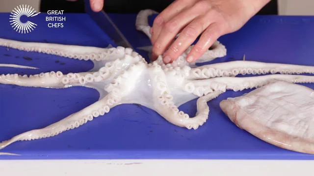 How to section an octopus on Vimeo