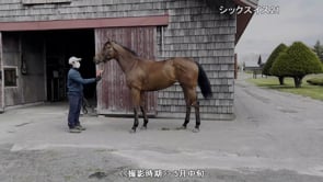 動画サムネイル