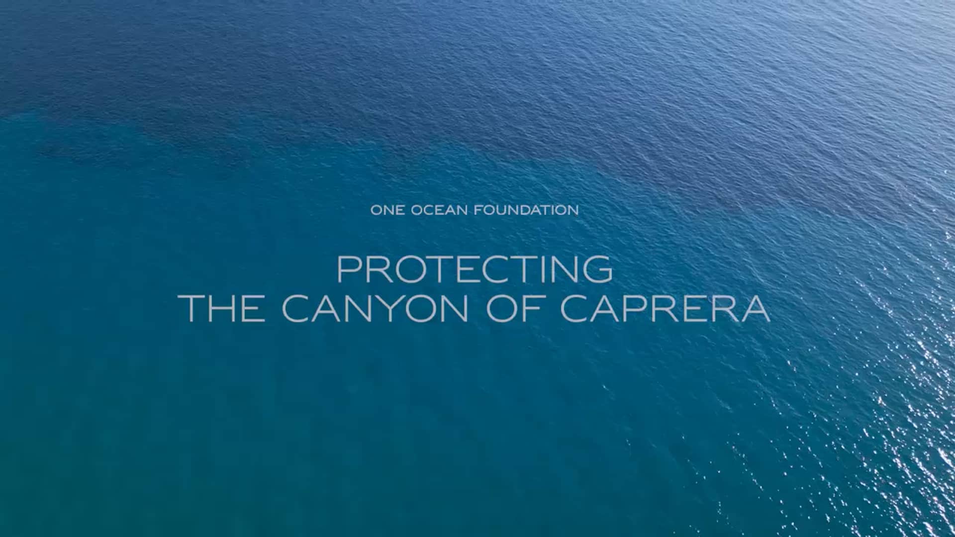 One Ocean Foundation: The Caprera Canyon
