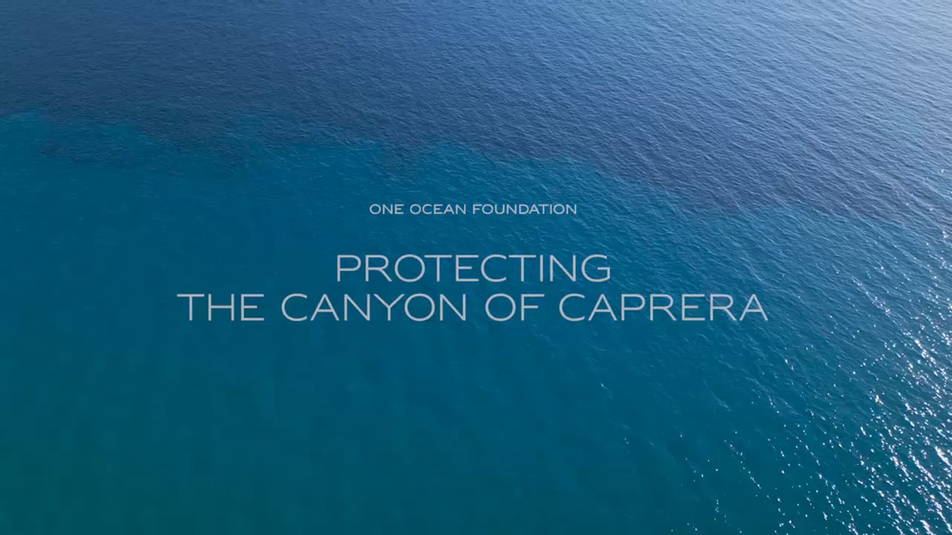 One Ocean Foundation: The Caprera Canyon