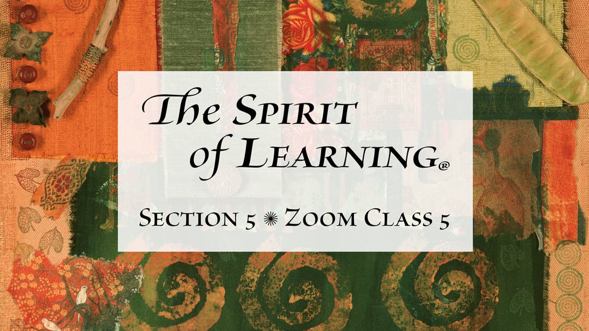 Section 5 – Zoom Class 5 (2023-Final) on Vimeo