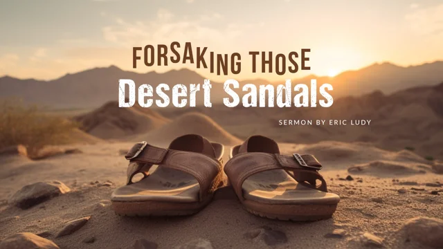 Desert sandals discount