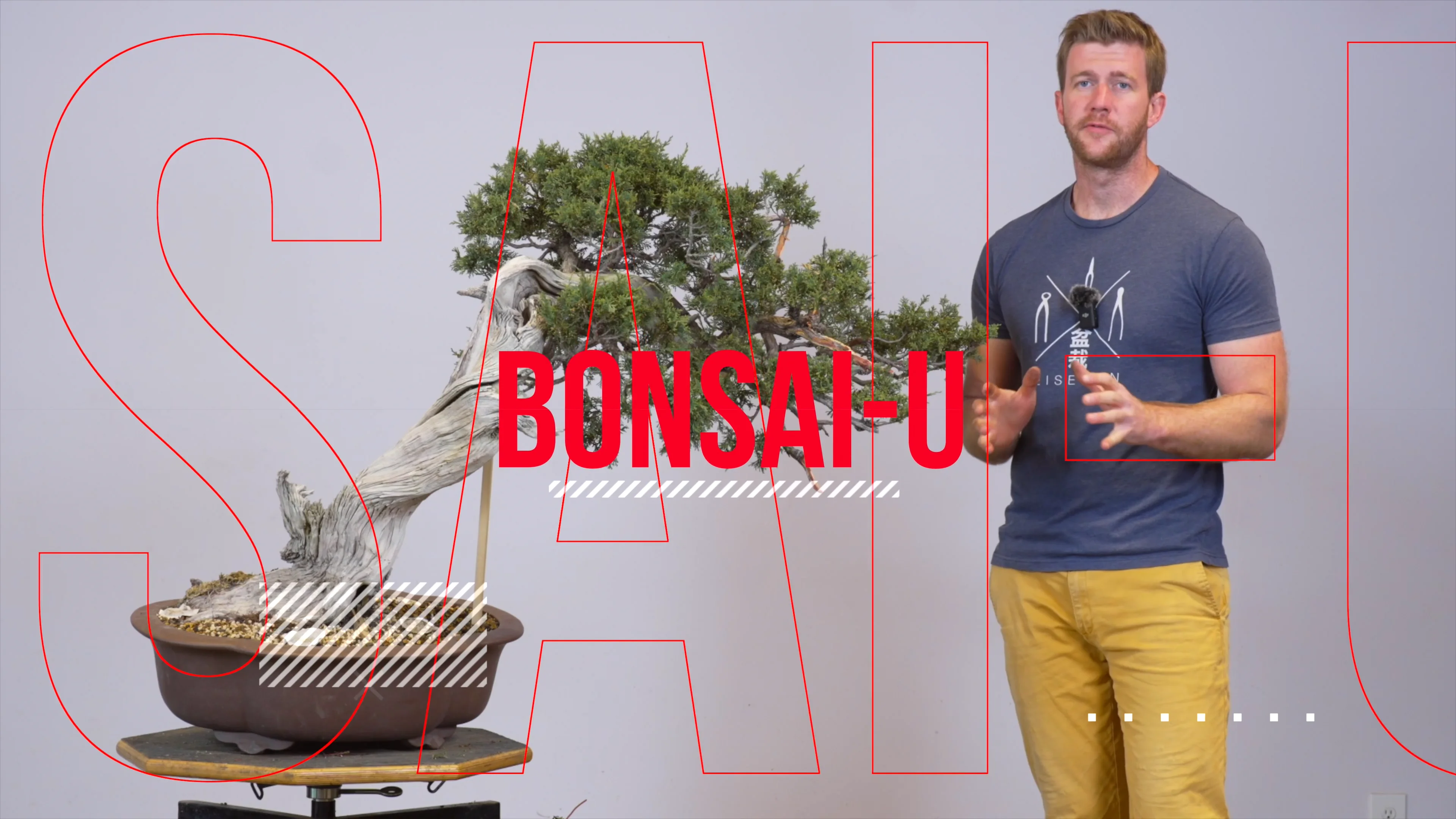 Bonsai-U Promo