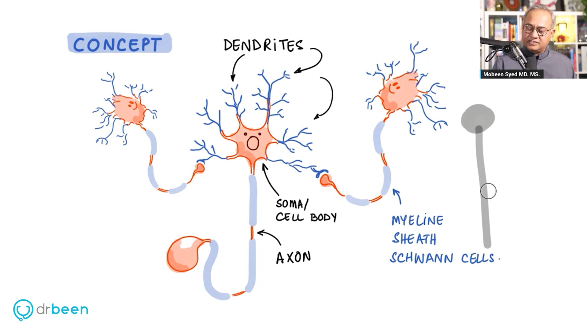 Psychedelics Slip in The Neurons for Neuroplasticity