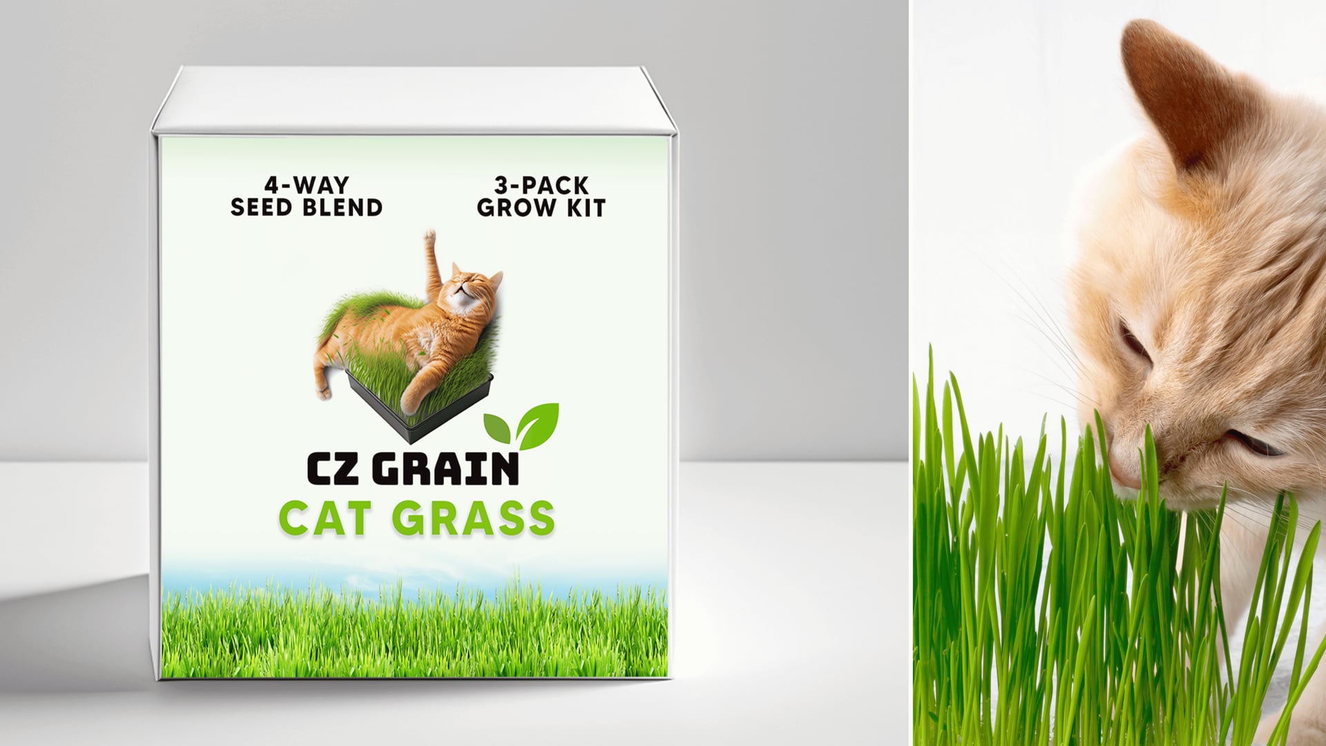 Cat Grass | CZ Grain