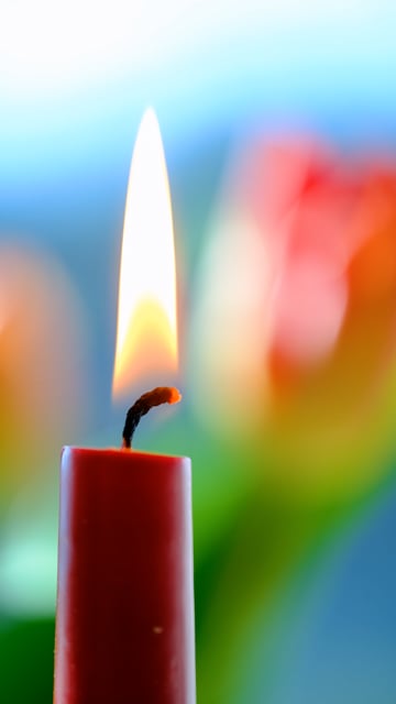 Candles Videos: Download 528+ Free 4K & HD Stock Footage Clips - Pixabay