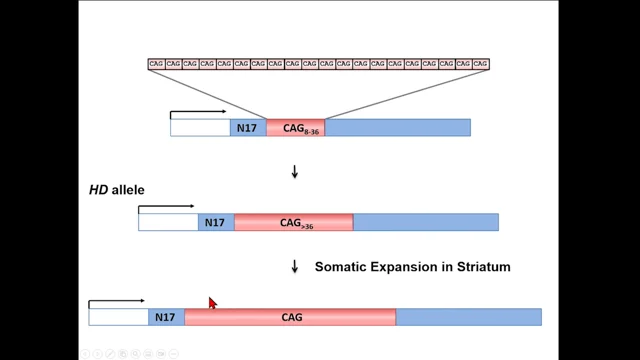 Relationship between plasma NfL, age and CAG. A. NfL and 'disease