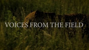 VOICES FROM THE FIELD FILM TRAILER 2:12 minutes