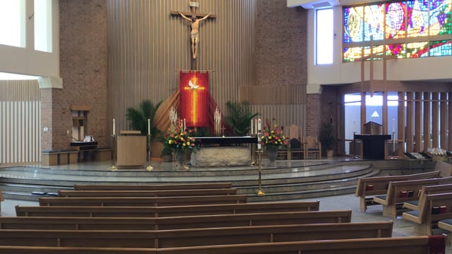 Video Placeholder image