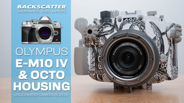 Olympus E-M10 IV and Backscatter Octo Housing | Underwater Camera Review