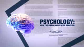 Video preview for Georgetown | Psychology | Program Trailer