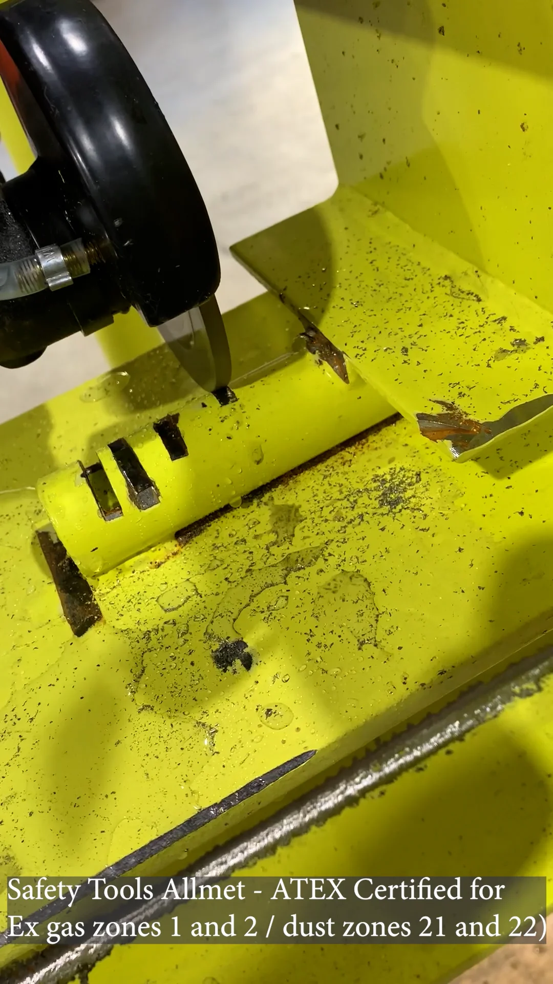 Mushuk shakli gamburgerga oxshaydi