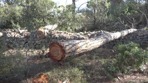 Arranca la campanya forestal contra el risc d'incendis