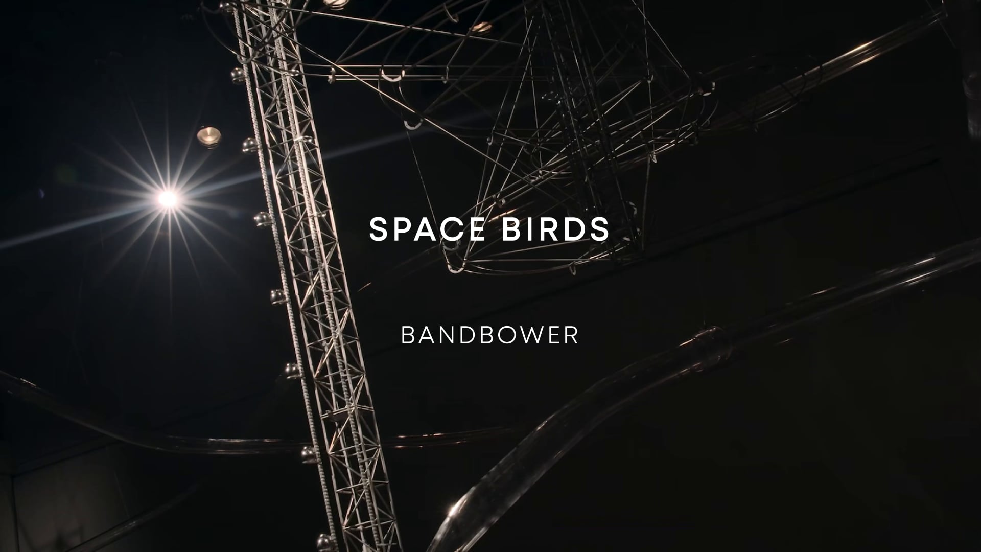 SPACE BIRDS